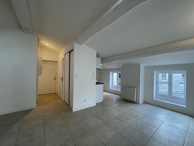 STUDIO A LOUER - LYON 4EME ARRONDISSEMENT Mairie-Tabareau - 54 m2 - 890 € charges comprises par mois