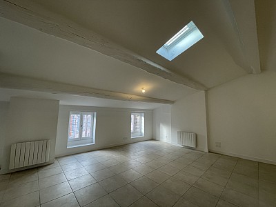 STUDIO A LOUER - LYON 4EME ARRONDISSEMENT Mairie-Tabareau - 54 m2 - 890 € charges comprises par mois