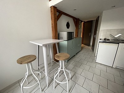 STUDIO A LOUER - LYON 7EME ARRONDISSEMENT Pasteur - 25.23 m2 - 814,66 € charges comprises par mois