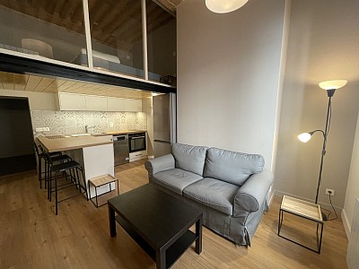 STUDIO A LOUER - LYON 1ER ARRONDISSEMENT Griffon-Royale - 25.61 m2 - 905�&euro; charges comprises par mois