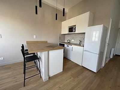 APPARTEMENT T2 A LOUER - LYON 1ER ARRONDISSEMENT Griffon-Royale - 39.21 m2 - 965€ charges comprises par mois