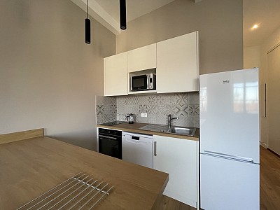 APPARTEMENT T2 A LOUER - LYON 1ER ARRONDISSEMENT Griffon-Royale - 39.21 m2 - 965€ charges comprises par mois