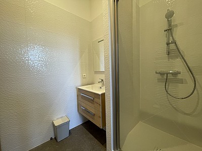 APPARTEMENT T2 A LOUER - LYON 1ER ARRONDISSEMENT Griffon-Royale - 39.21 m2 - 965€ charges comprises par mois