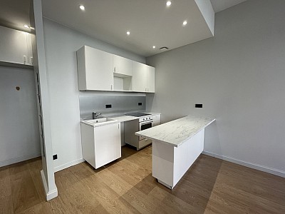 APPARTEMENT T2 - LYON 4EME ARRONDISSEMENT Cdt Arnaud-Dumont d Urville - 47 m2 - LOUÉ