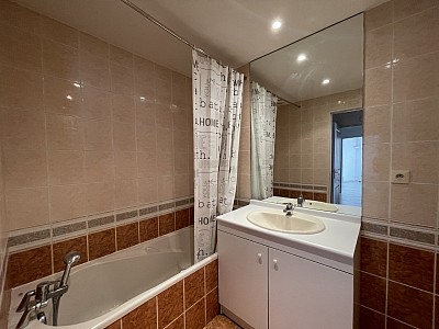 APPARTEMENT T2 A LOUER - LYON 4EME ARRONDISSEMENT Boucle Louis Thevenet - 51.15 m2 - 867€ charges comprises par mois