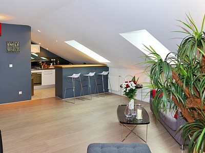APPARTEMENT T2 A LOUER - LYON 4EME ARRONDISSEMENT Cuire Canuts - 52.94 m2 - 1 275 &euro; charges comprises par mois