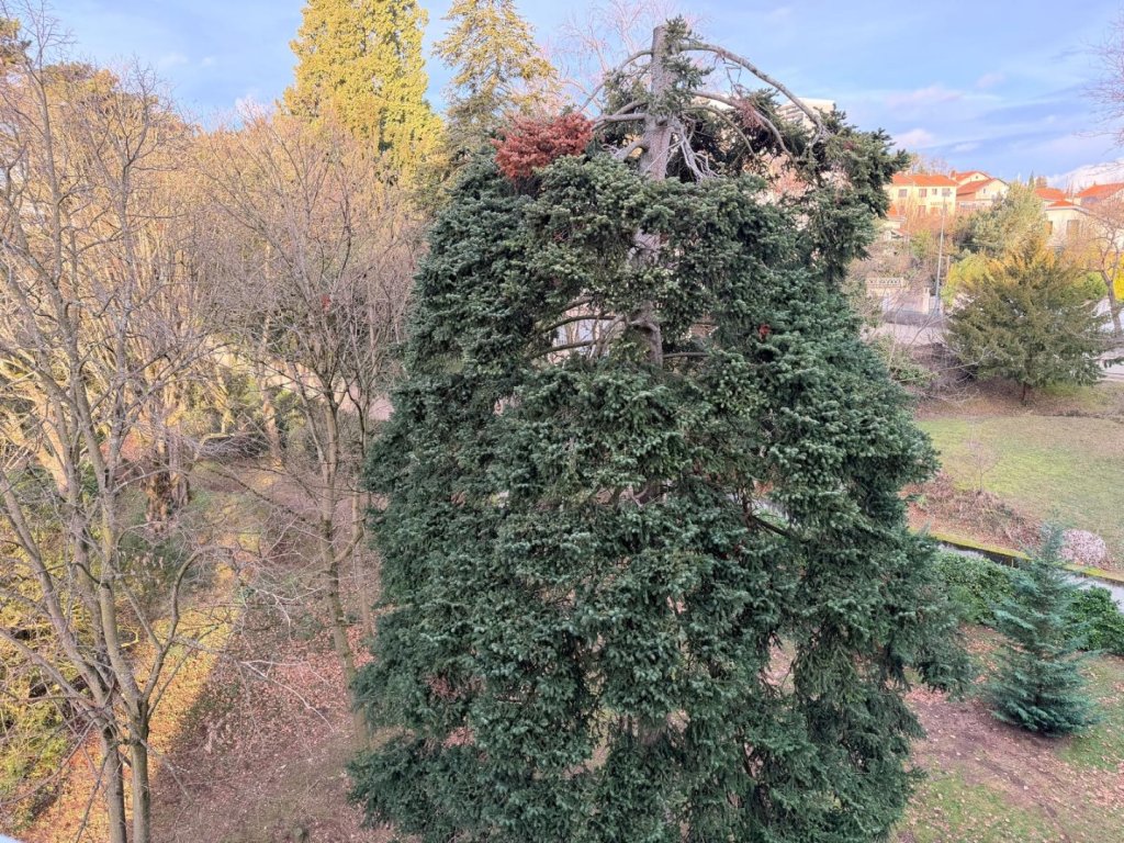 APPARTEMENT T3 A LOUER - CALUIRE ET CUIRE Montessuy-Est - 82.9 m2 - 1�480�&euro; charges comprises par mois