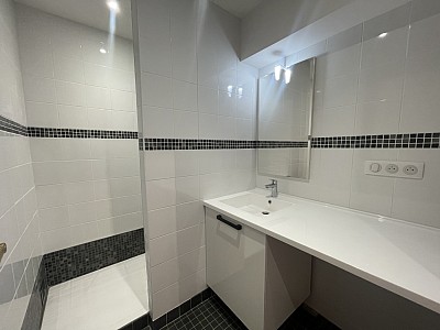 APPARTEMENT T3 A LOUER - CALUIRE ET CUIRE Saint-Clair - 64.6 m2 - 1 235 &euro; charges comprises par mois