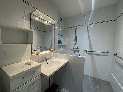 APPARTEMENT T3 A LOUER - VILLEURBANNE Gratte-Ciel - 72.61 m2 - 1100€ charges comprises par mois